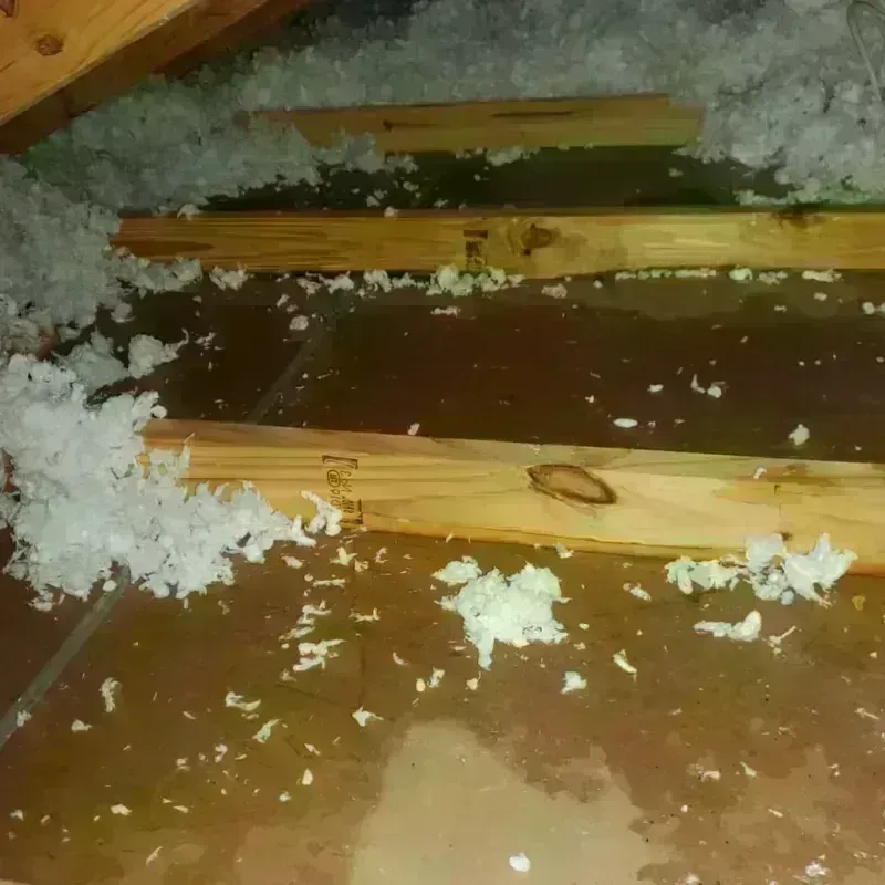 Attic Water Damage in Morgan County, UT