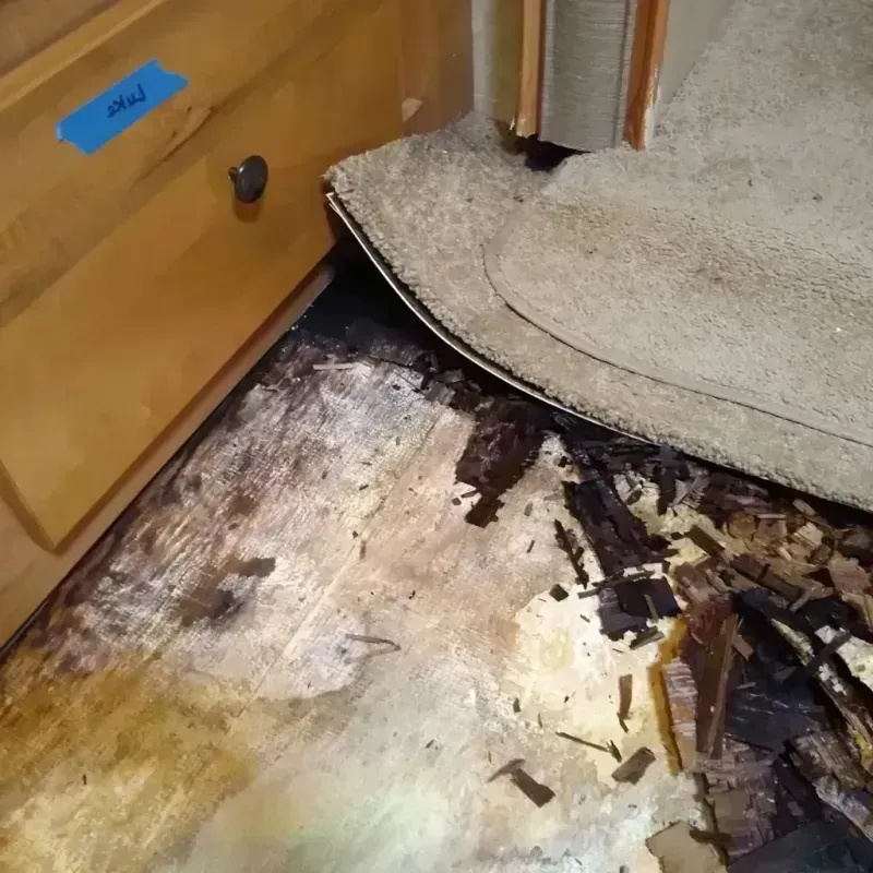 Wood Floor Water Damage in Morgan County, UT